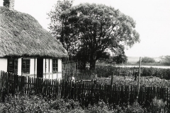 Engblommevej 8. Trines hus.