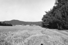 Sortbærvej ca. 1962.