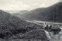 Sejs Hede 1905