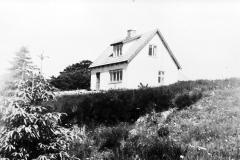 Aløvej 11